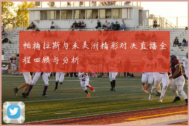 帕梅拉斯与米美洲精彩对决直播全程回顾与分析