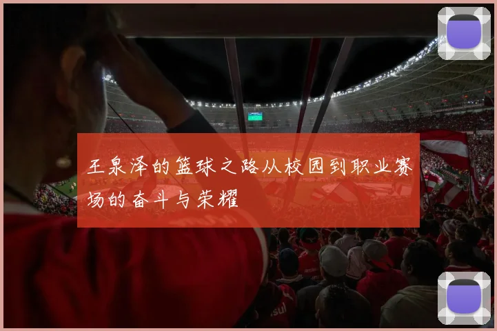 王泉泽的篮球之路从校园到职业赛场的奋斗与荣耀